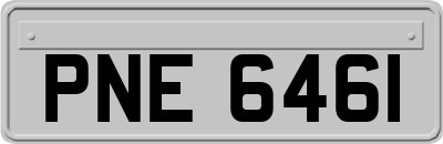 PNE6461