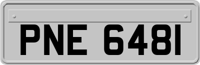 PNE6481