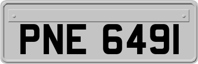 PNE6491