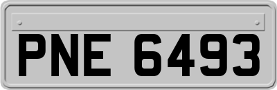 PNE6493