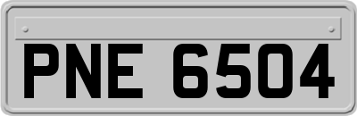PNE6504