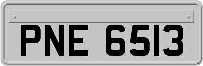 PNE6513