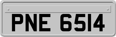 PNE6514