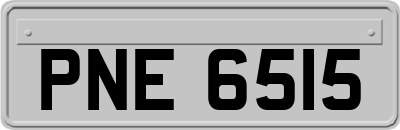 PNE6515