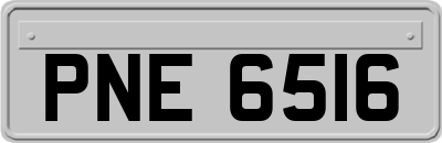 PNE6516