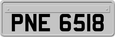 PNE6518