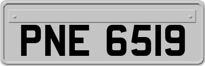 PNE6519