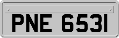 PNE6531