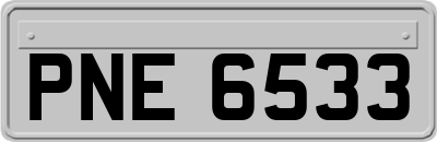 PNE6533