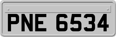 PNE6534