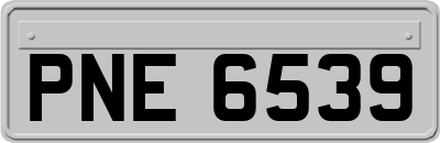 PNE6539