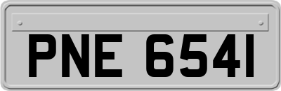 PNE6541