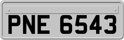 PNE6543