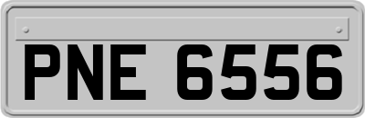 PNE6556
