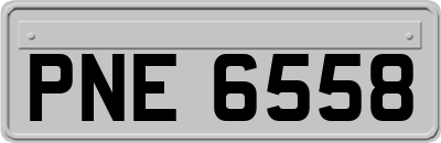 PNE6558