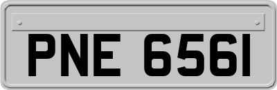 PNE6561