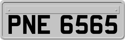 PNE6565