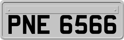 PNE6566