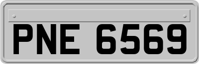 PNE6569
