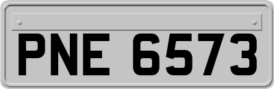 PNE6573