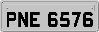PNE6576