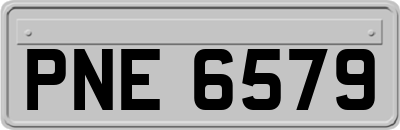PNE6579