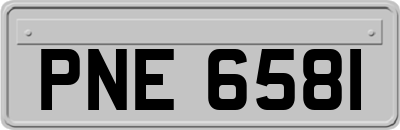 PNE6581