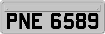 PNE6589
