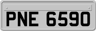 PNE6590