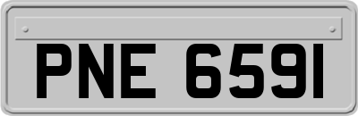 PNE6591