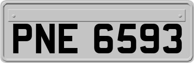 PNE6593