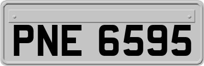 PNE6595