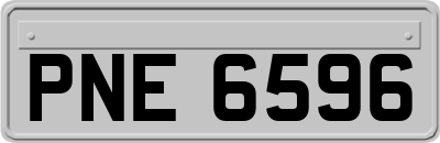 PNE6596