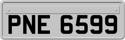 PNE6599