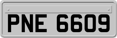 PNE6609