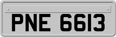 PNE6613