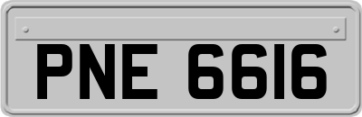 PNE6616