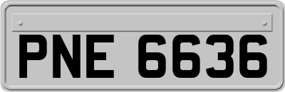 PNE6636