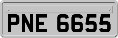 PNE6655