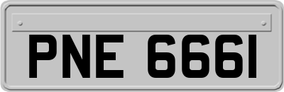 PNE6661