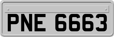 PNE6663