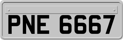 PNE6667