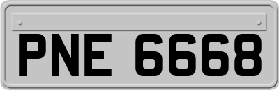 PNE6668