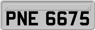 PNE6675