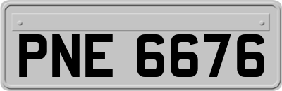 PNE6676