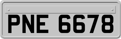 PNE6678