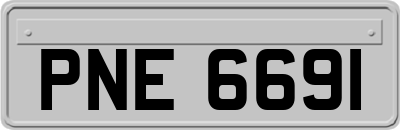 PNE6691