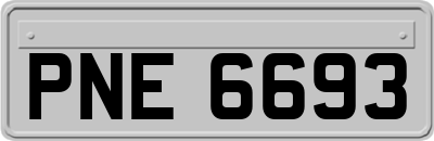 PNE6693