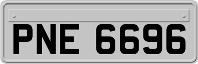 PNE6696