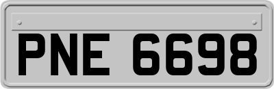 PNE6698